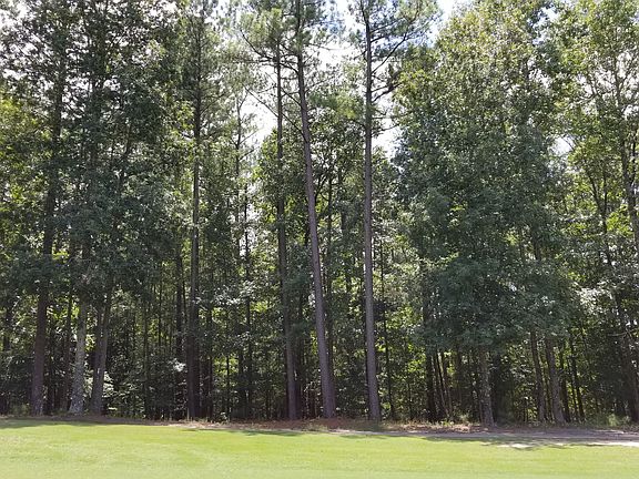 View of lot from golf course