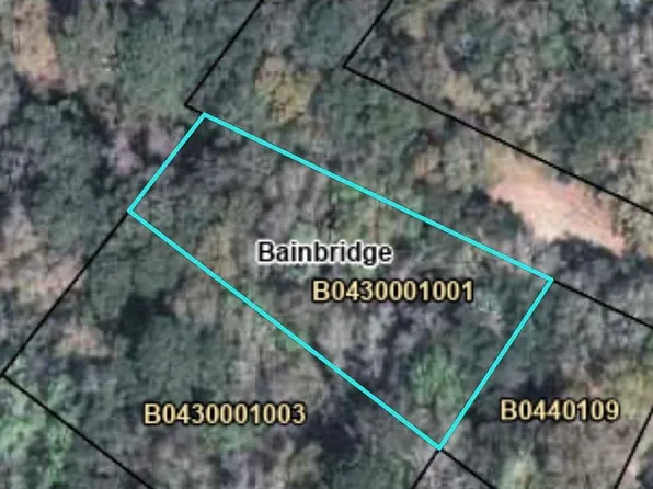 0 Redwine Dr, Bainbridge, GA 39817