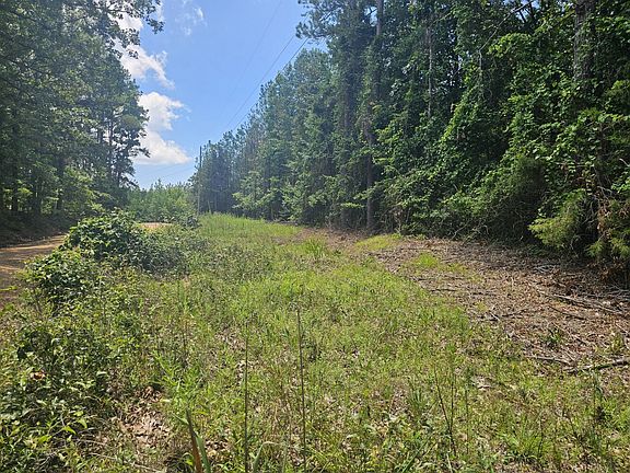 Looking south along the utility line right of way.