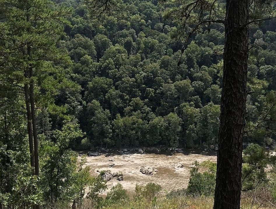 1st image of 2725 French Broad Pkwy #40