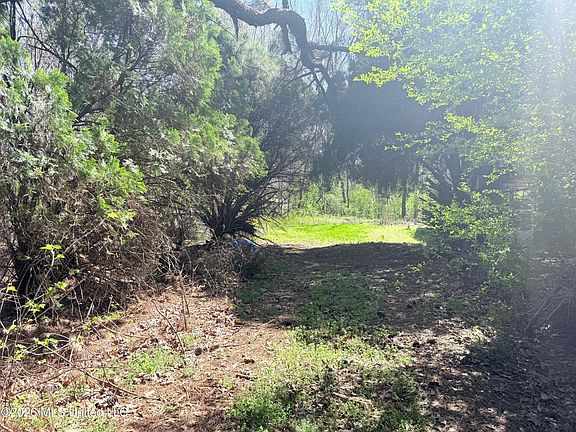 4th image of 2943 Plum Point Rd