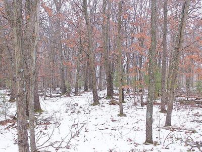 16.6 acres Deer Run, Montello, WI, 53949