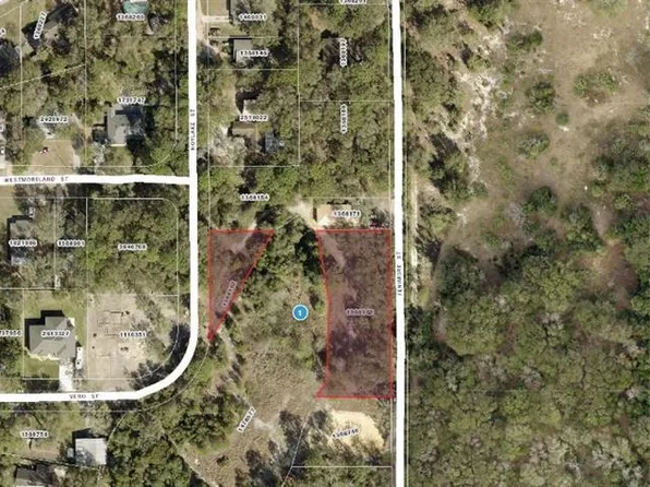 Hoy Lake St #20, Sorrento, FL 32776