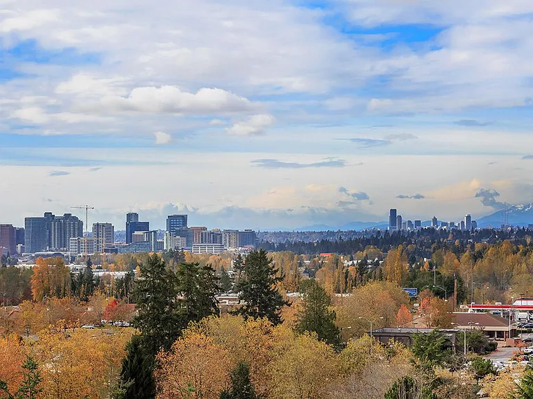 The Village at Overlake Station — Photo 22