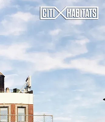 Rented by Citi Habitats | media 18