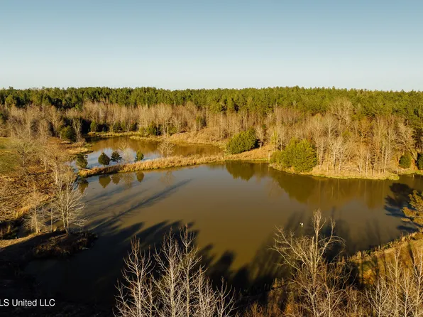 Alfred Phelps Ln, Lexington, MS 39095