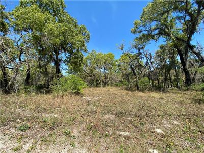 10627 Woodland Dr, Hudson, FL, 34669