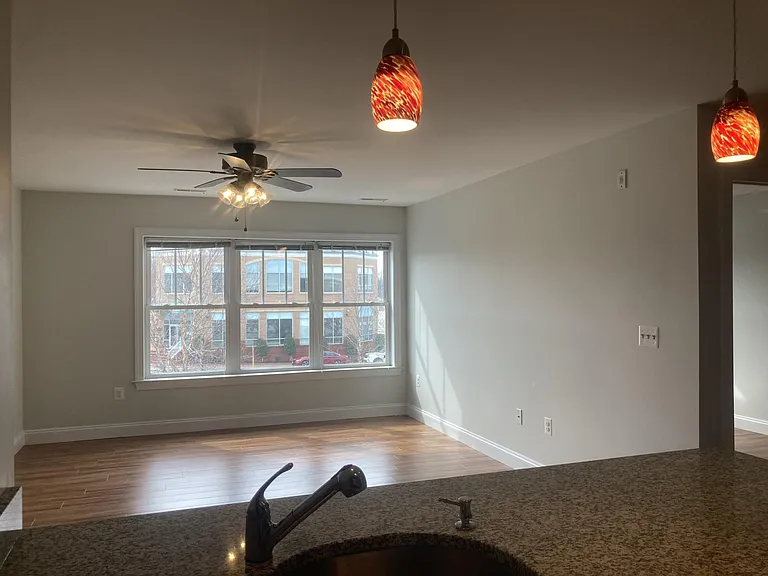 109 Saint Marys Ave #203 — Photo 5