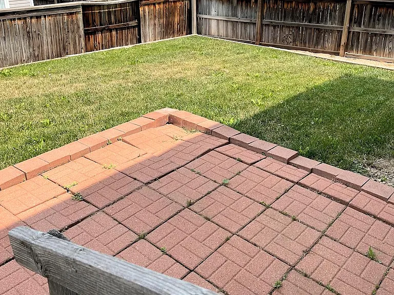 983 Canary Ct — Photo 9