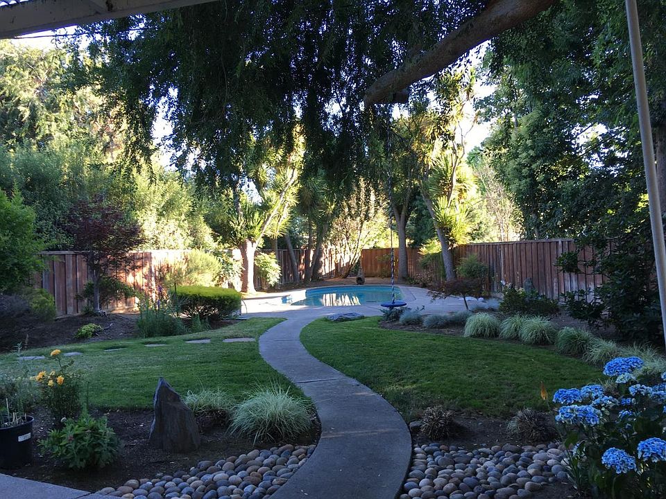 backyard: landscape