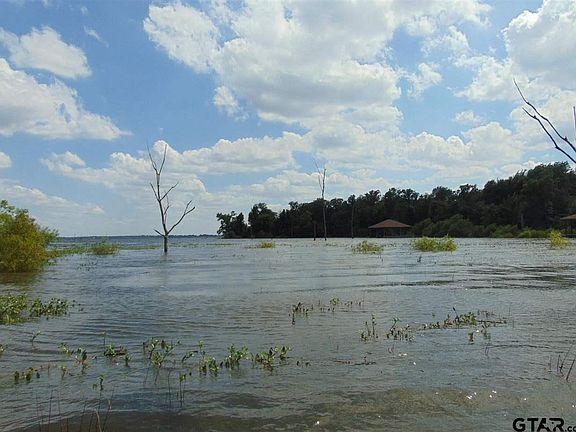 5th image of LOT 28 County Road 1953