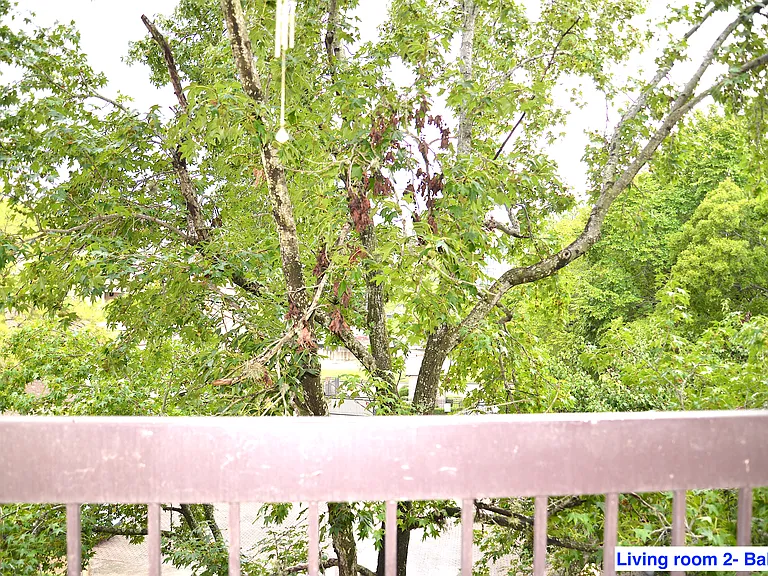 2207 S Braeswood Blvd #42J — Photo 24