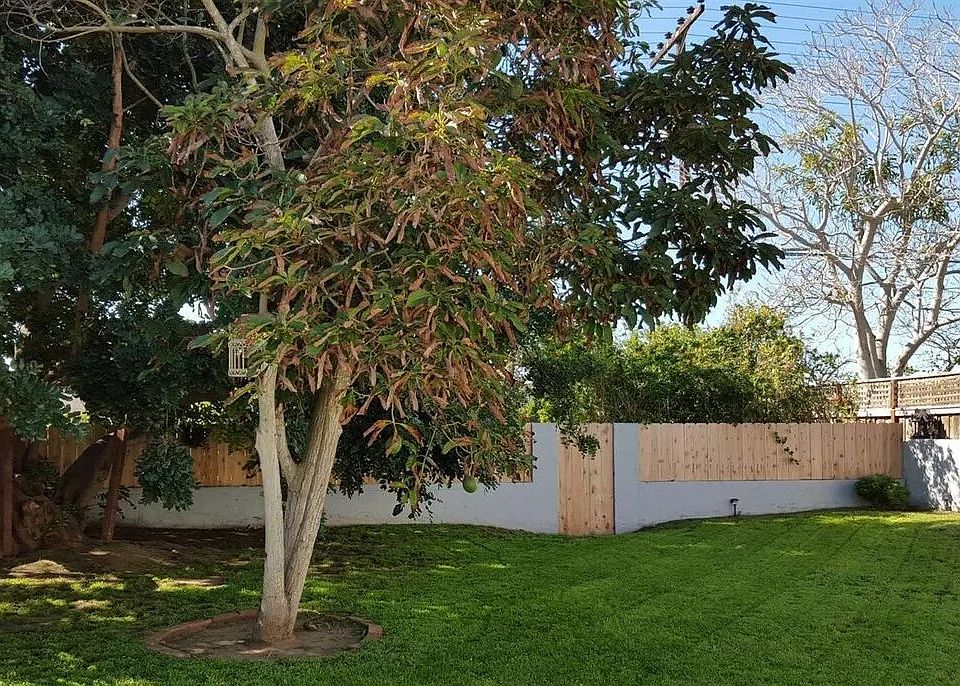 2nd image of 5836 Beaumont Ave