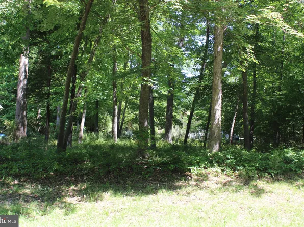 81 Brigantine Blvd, Greenbackville, VA 23356