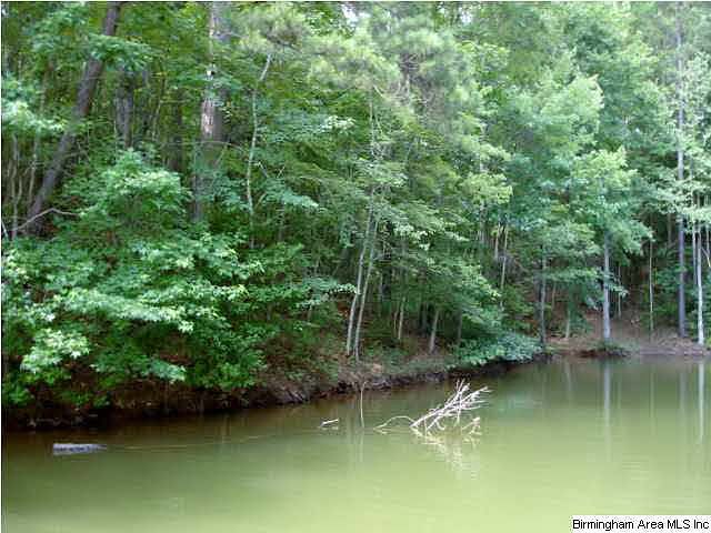 2nd image of LOT 7 County Road 1295 Lot 7