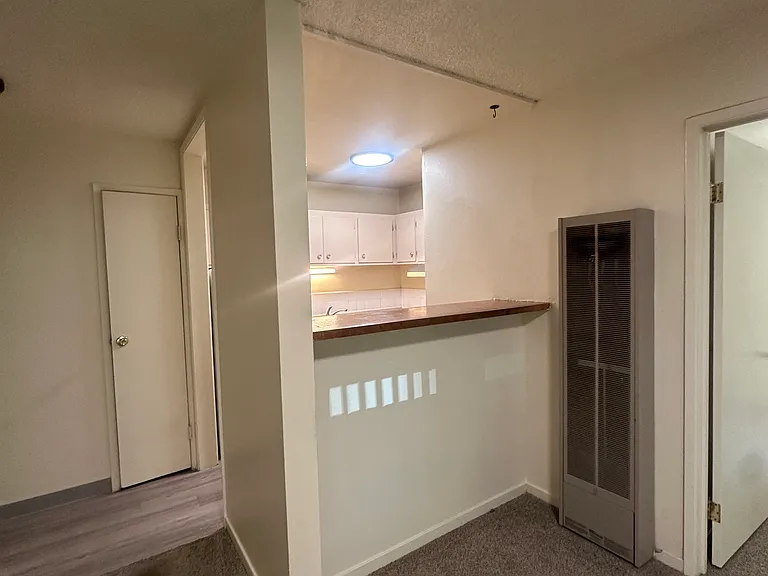 110 Russell Blvd #4 — Photo 2