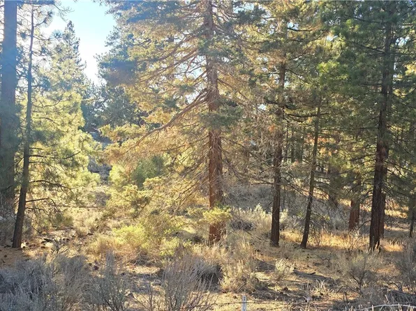 140 Olympic Dr, Big Bear Lake, CA 92315