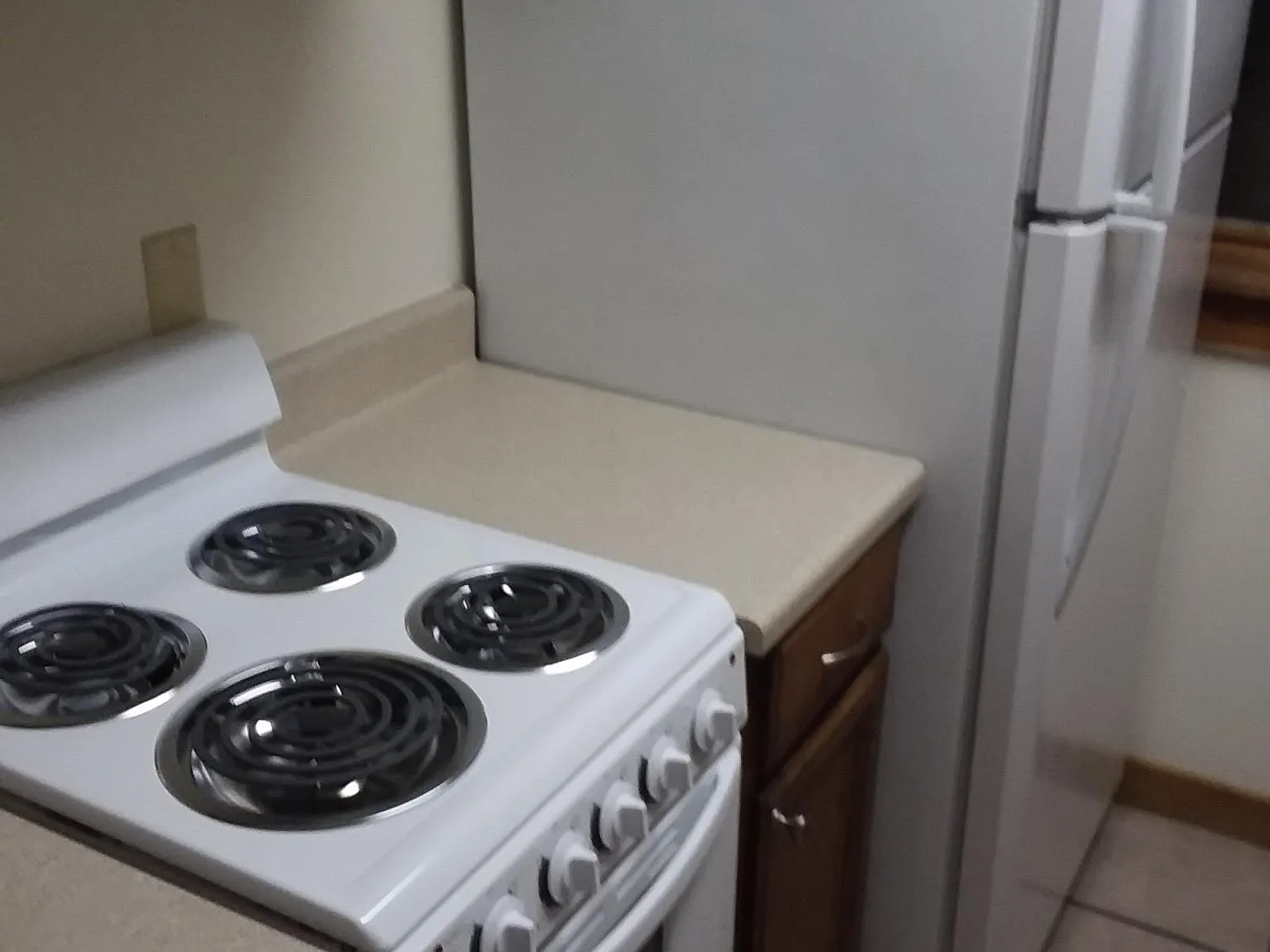 1 bed, 650 sqft, $1,730 — Photo 3