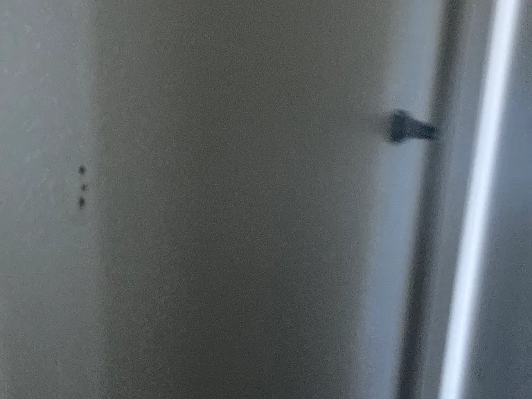 19123 Alexa Ln — Photo 8