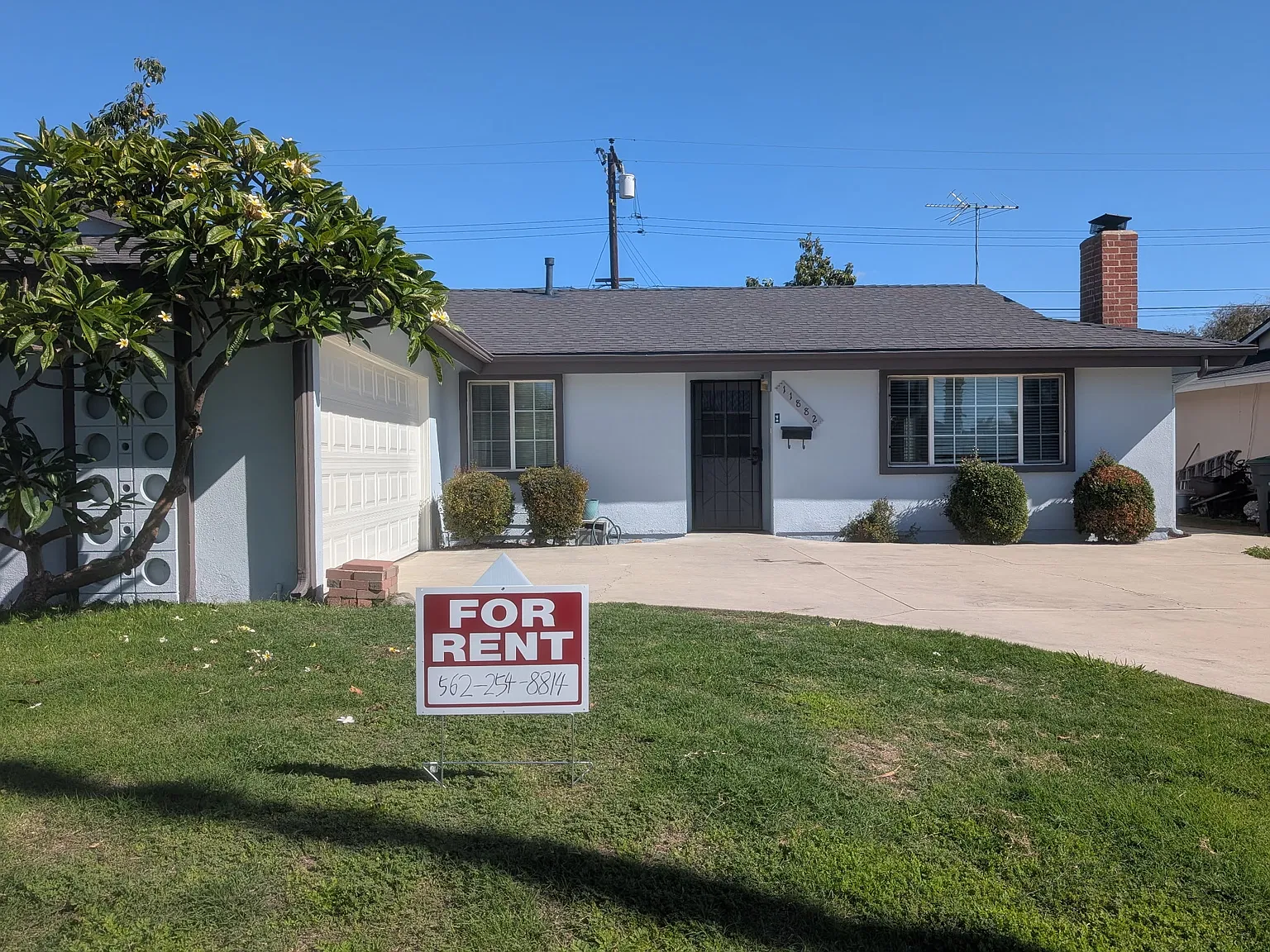 3 bed, 1400 sqft, $3,950 — Photo 1