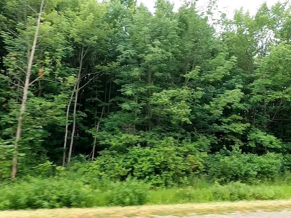 Vl Footville Richmond Rd, Dorset, OH 44032