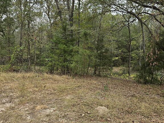 2nd image of 0 County Road 474 W