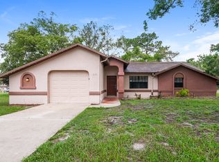 13371 Maureen Ave, Spring Hill, FL 34609