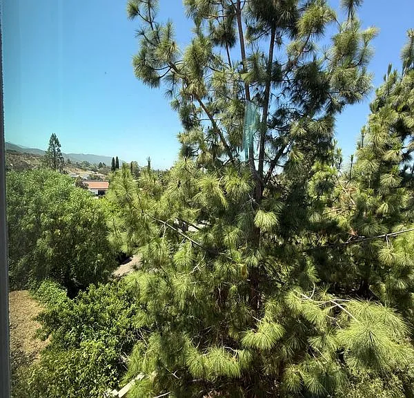 1769 Los Feliz Dr #3 — Photo 22