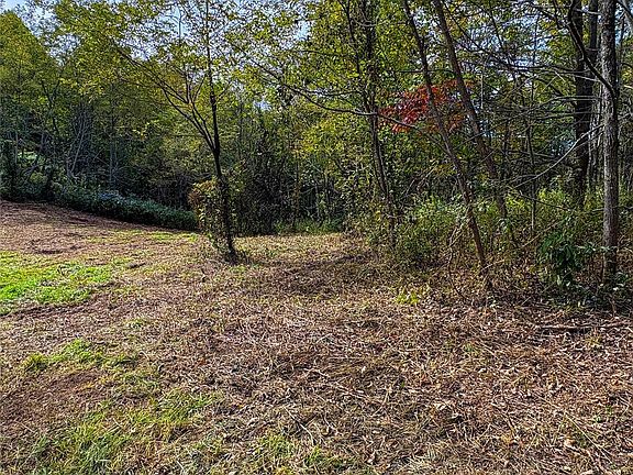 4th image of TRACT 2 Turkey Trot Rd