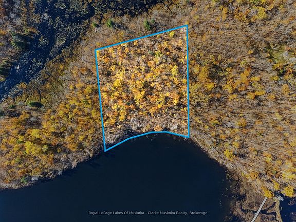 5th image of 4805 Muskoka Rd #169