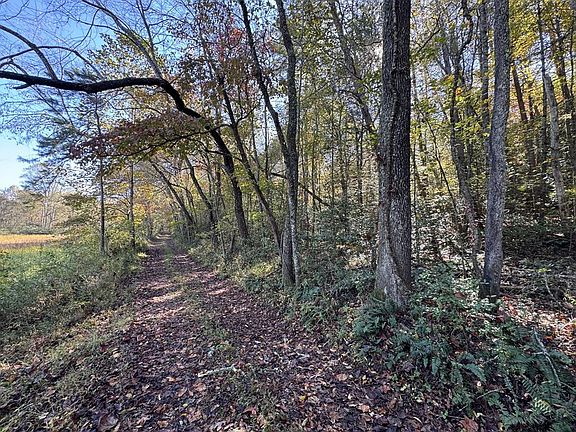 5th image of 0 Saffron Ln