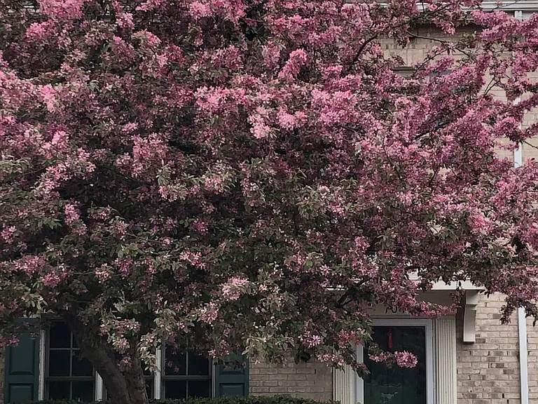 Dated spring photo of front door