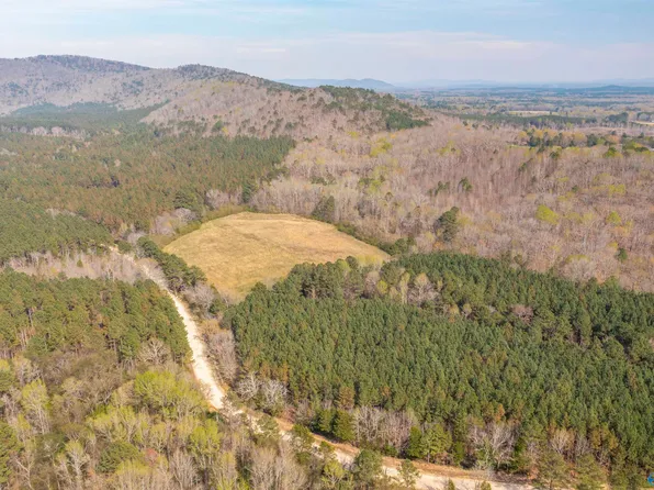 County Road 80, Cedar Bluff, AL 35959