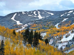 2466 Chamonix Ln #4, Vail, CO 81657
