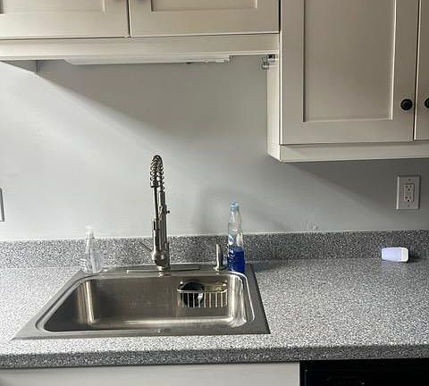 kitchen sink. black dishwasher.