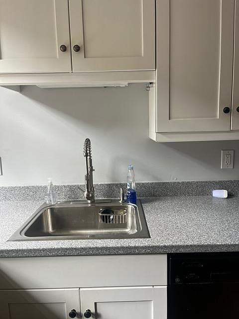 kitchen sink. black dishwasher.