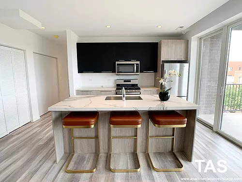 2535 W Fullerton Ave #506 Photo 1