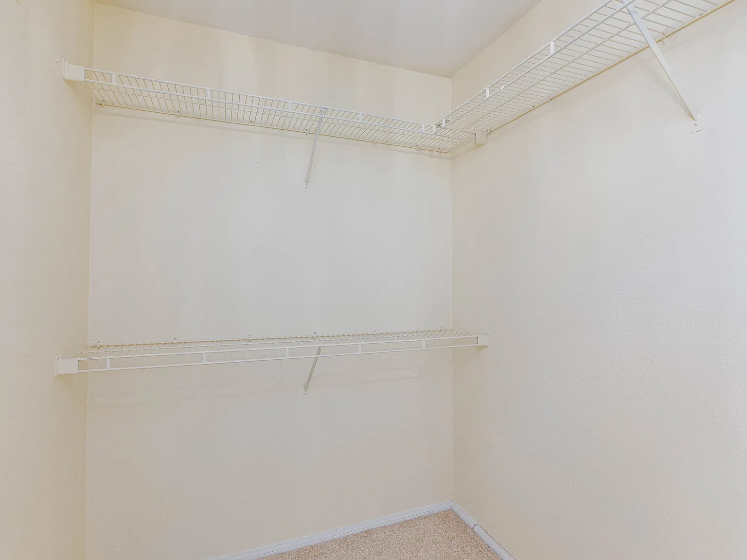 3 bed, 1582 sqft, $2,550 — Photo 3