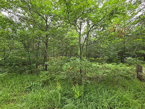 4th image of XXX Saylors Lane