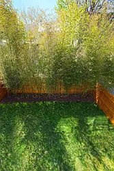 Sold by Space Marketing Shop