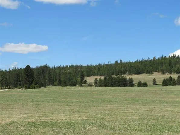 215XX N Felspar Rd, Deer Park, WA 99006