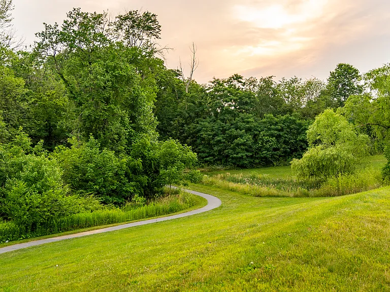Scenic Walking Trail