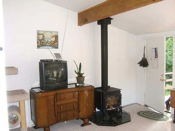 Living Room Wood Stove