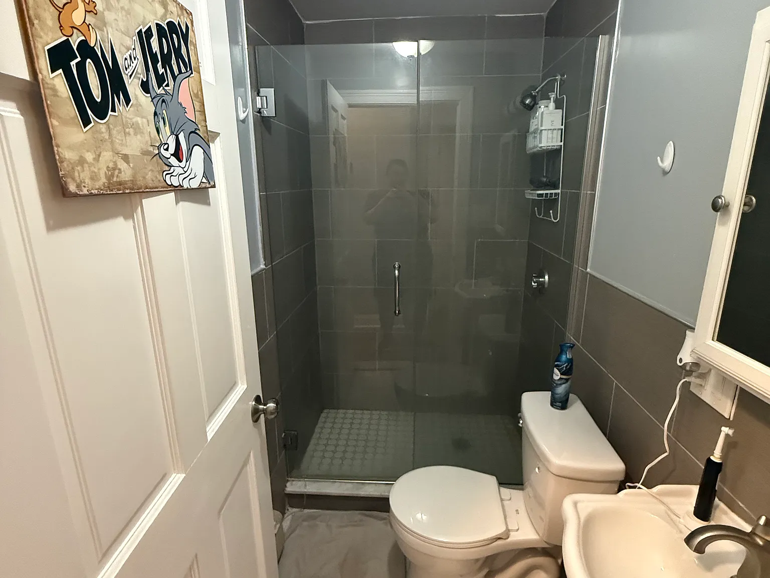 3 bed, 1000 sqft, $4,500 — Photo 4