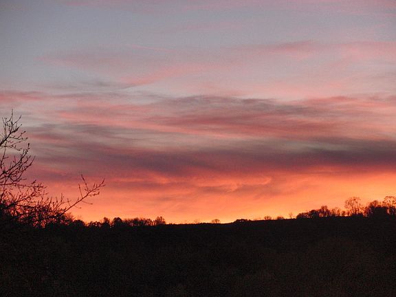 summer evening view
