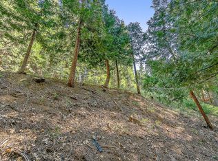 3916 Opal Trl, Pollock Pines, CA 95726