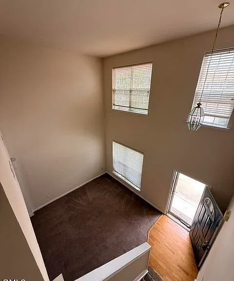 204 Caraleigh Ct — Photo 32