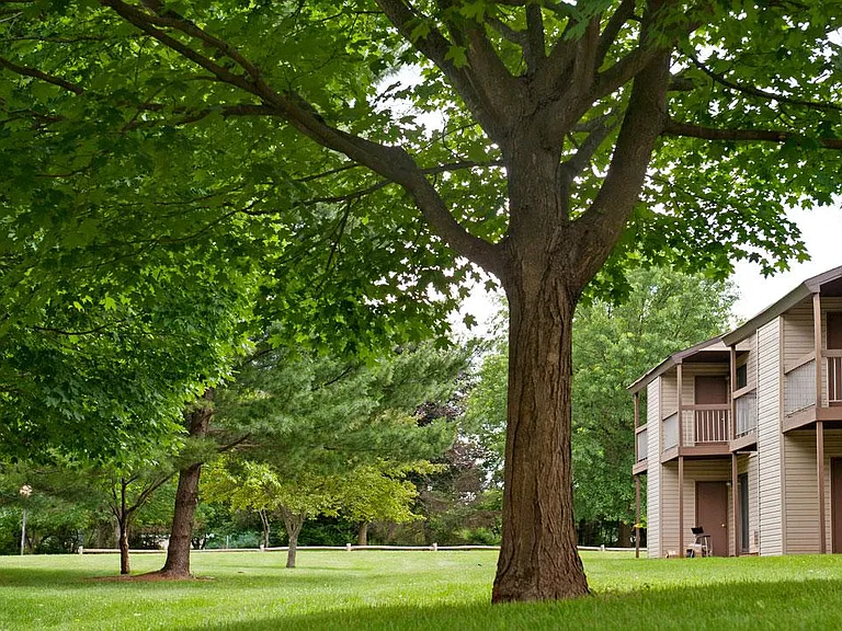 Treetops Apartments — Photo 2