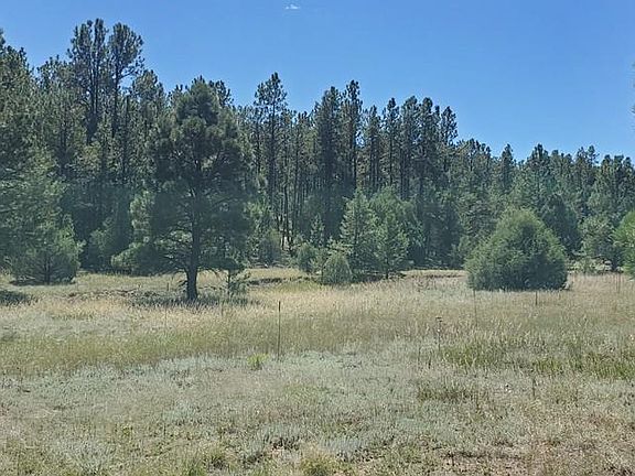 5th image of 23248 Spirit Mountain Dr