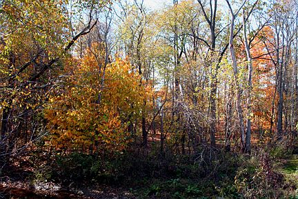 8 acres Huron County, Ohio